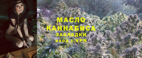 гидра Протвино